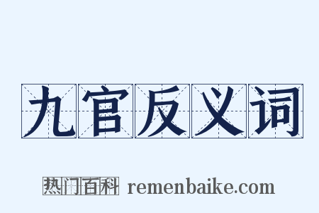 九官反义词是什么意思的图片